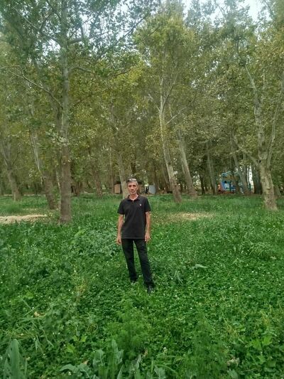  ,   , 54 ,   ,   , 
