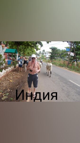  ,   , 59 ,   