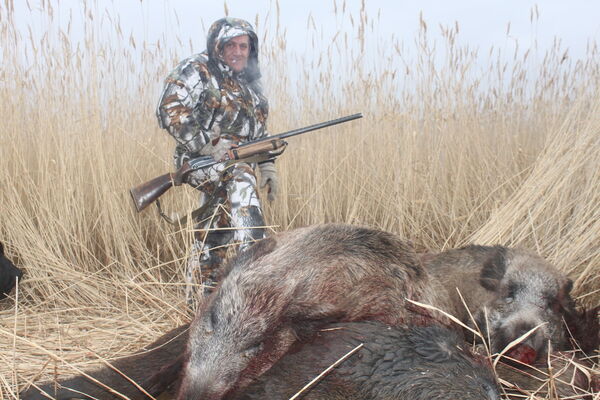  ,   , 60 ,   ,   , c 