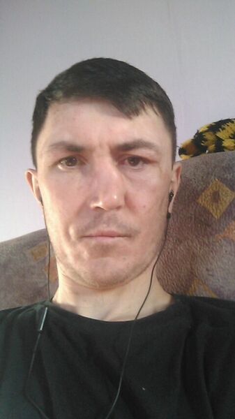 ,   Anton, 31 ,     , c , 