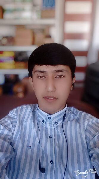  ,   Davlat, 24 ,   ,   