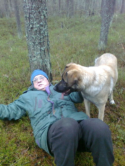 ,   Petrovic, 69 ,     , c 