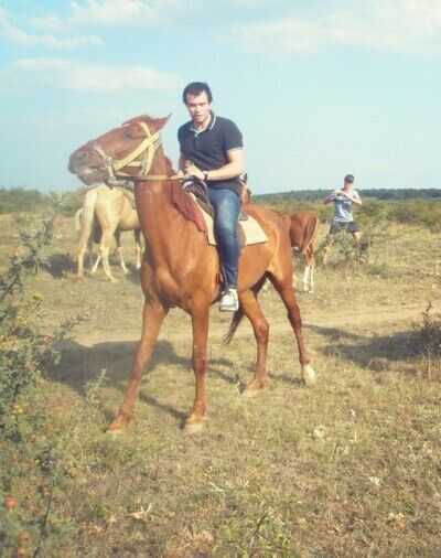  ,   Mikhail, 34 ,   ,   , c 