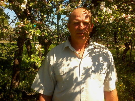  ,   , 56 ,   , 