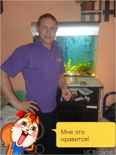 ���������� �����, ���� ������� ����������, 31 ���, ������������ ��� ����� � ���������, c�������� ���������