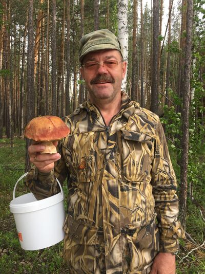  ,   , 64 ,   