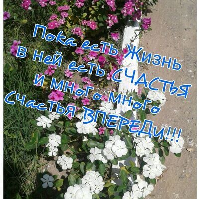  -,   , 30 ,   , 