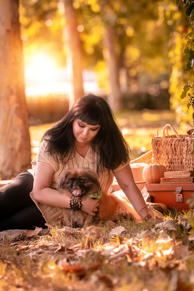  Azor,   Sofia, 54 ,   ,   