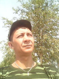  -,   , 48 ,   