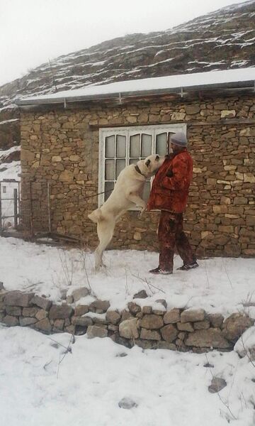  ,   , 33 ,     , c , 