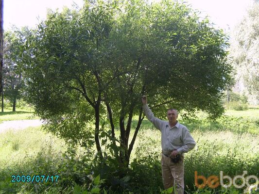  -,   BAGRATION, 79 ,     , c 