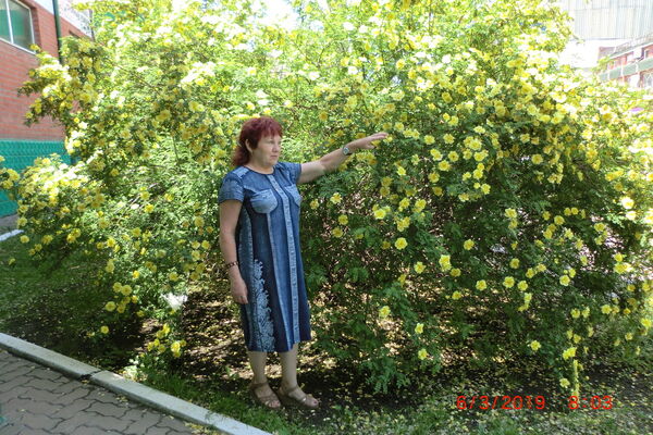  ,   , 62 ,     , c 