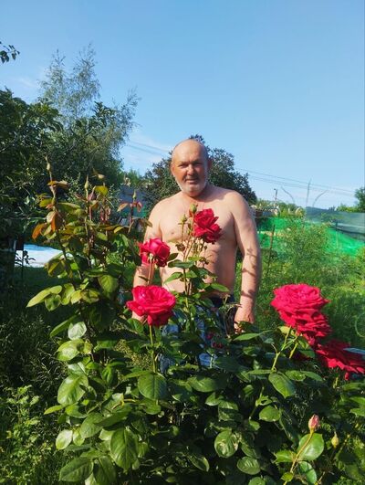  ,   , 62 ,   c 