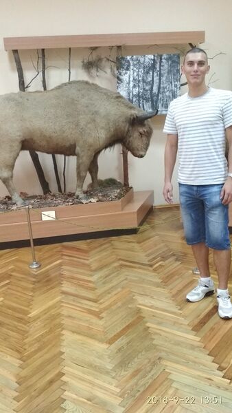  -,   , 28 ,   ,   , c 