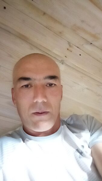  ,   , 38 ,   ,   , 