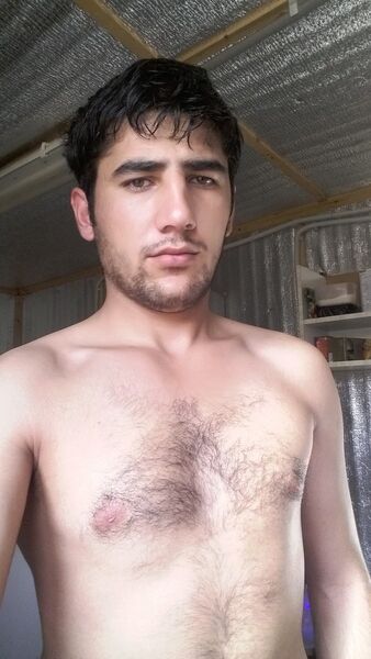  ,   Joxa, 31 ,   ,   , c 