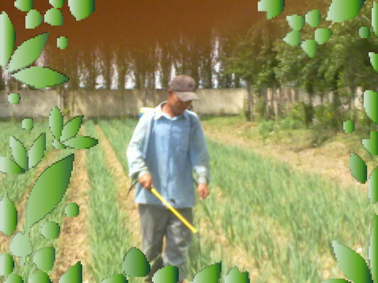  ,   , 58 ,   