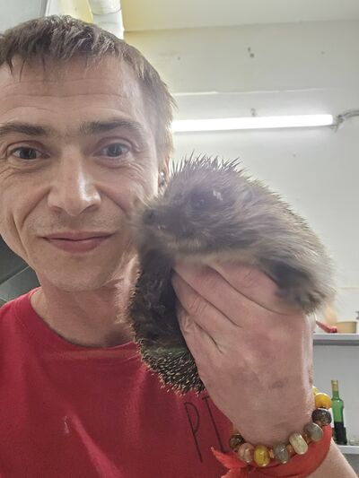  ,   , 39 ,   ,   , c , 