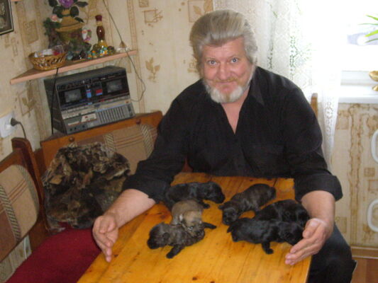  ,   , 65 ,   