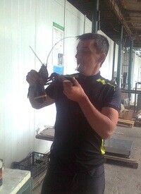 ,   , 53 ,   