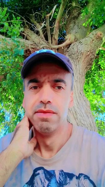  ,    , 41 ,   ,   