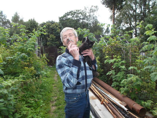  ,   Griny, 60 ,     , c 