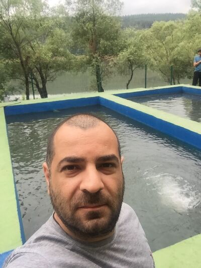  ,   ZAUR, 41 ,   