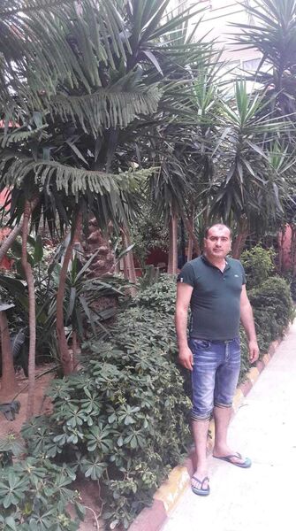  ,   , 45 ,   ,   