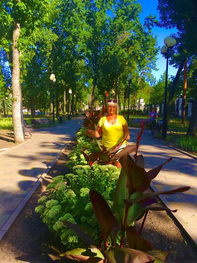  ,   , 68 ,   ,   , c 