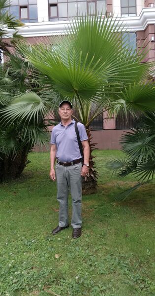   ,   , 65 ,   