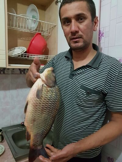  ,   , 40 ,   ,   , c , 