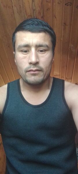  ,     , 29 ,   ,   