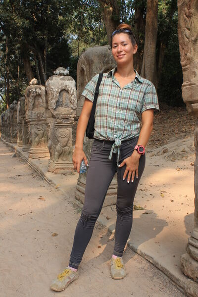  --,   , 36 ,   ,   