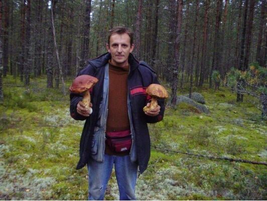  ,   , 54 ,   ,   , c , 