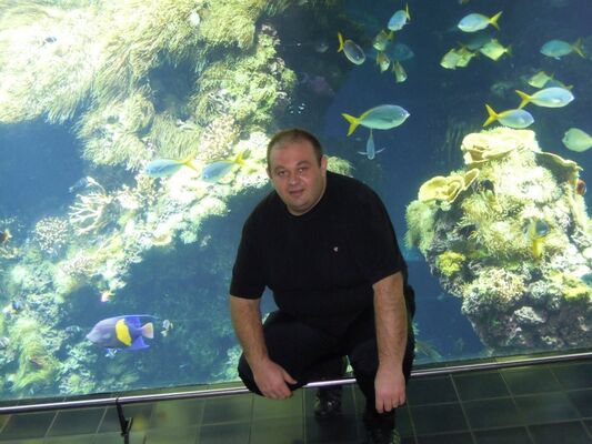  Frejus,   Vencislav, 46 ,   ,   , c 