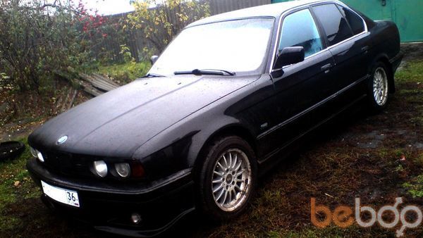 ���������� ������, ���� ������� �����, 36 ���, ������������ ��� ������