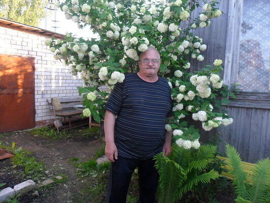  ,   , 61 ,   ,   , c 
