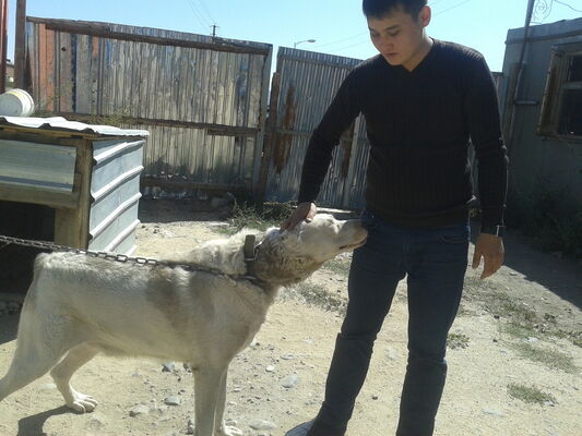  -,   Tair, 35 ,   ,   , c 