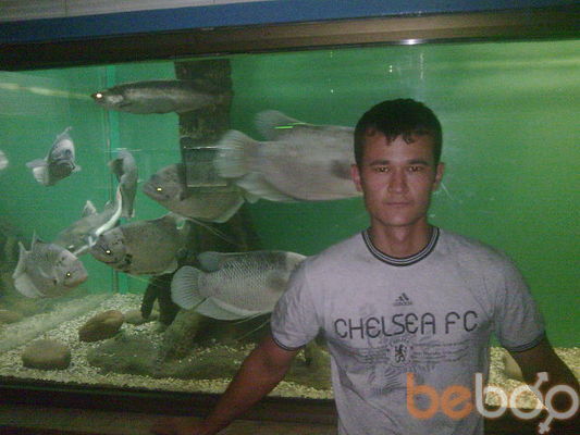  ,   Sohib, 36 ,   ,   , c 