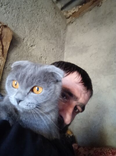  ,   , 44 ,   , 