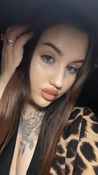  --,   , 22 ,   