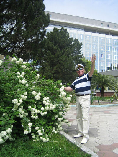  ,     , 65 ,  