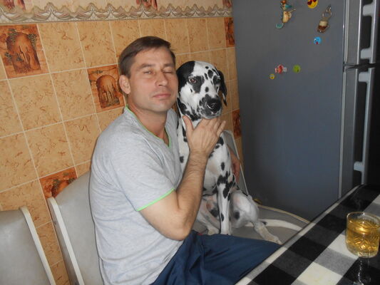  ,   , 53 ,  