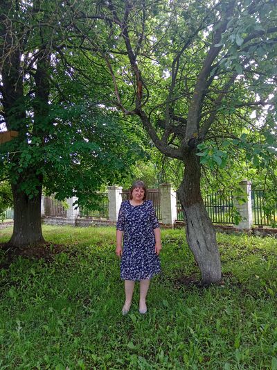  ,   , 66 ,   c 
