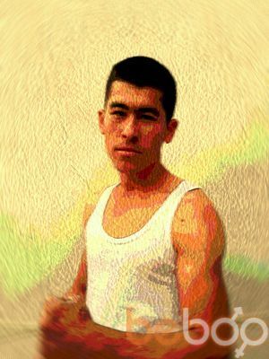 ���������� �������, ���� ������� 941038505, 32 ����, ������������ ��� ����� � ���������, c�������� ���������