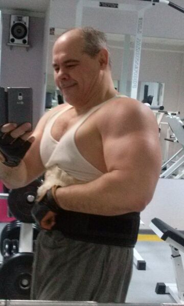  ,   , 53 ,   