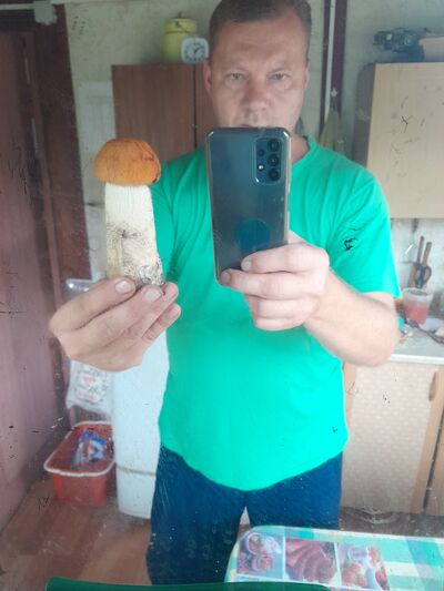  -,   , 52 ,   c 