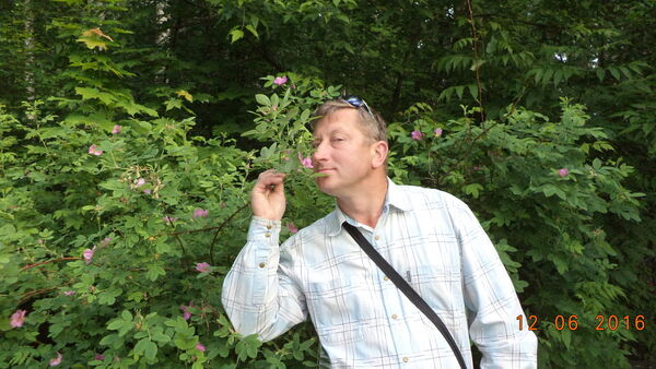   ,   , 55 ,   