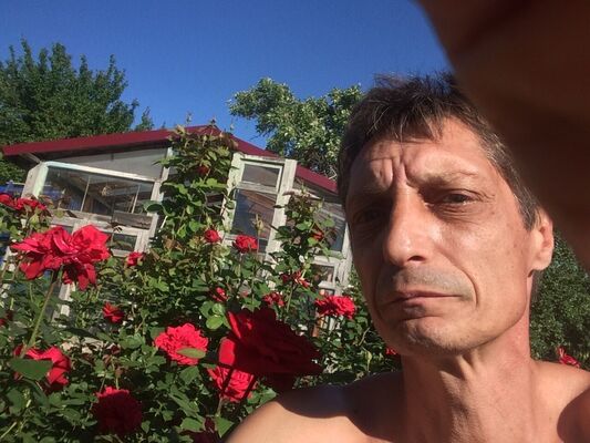  ,   , 53 ,   ,   , c , 