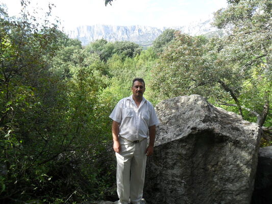  ,   , 54 ,     , c 